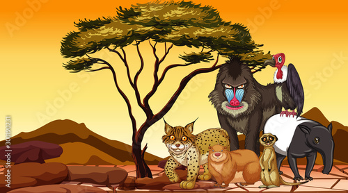 Scene with many animals in the dry land