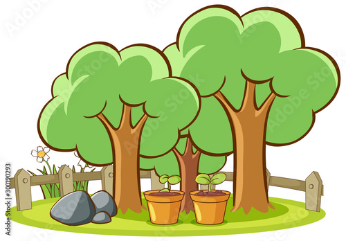 Isolated picture of trees in the park