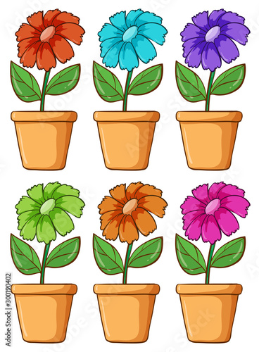 Isolated set of flower in different colors