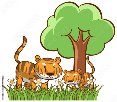 Isolated picture of tigers in the garden