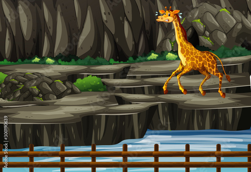 Scene with giraffe behind the zoo cage