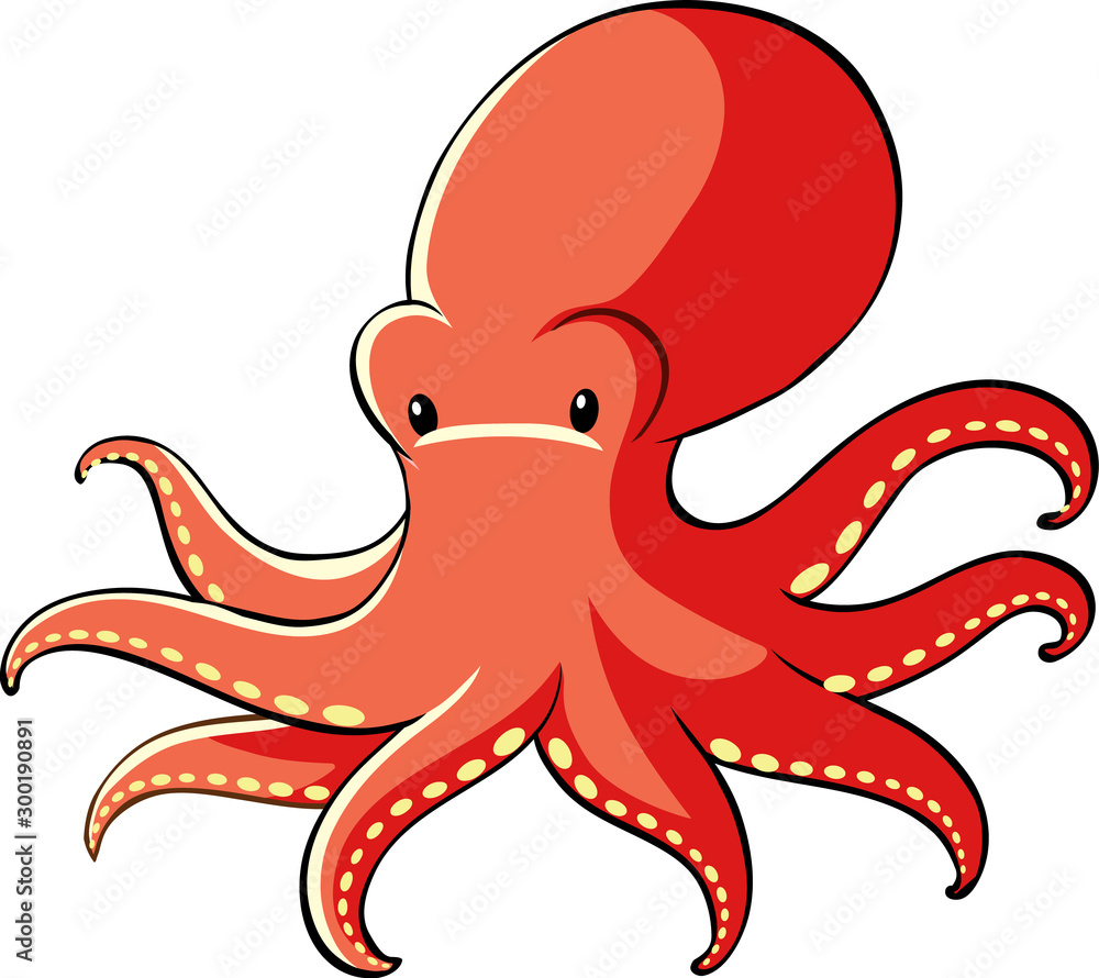 Red octopus on white background Red octopus on white background