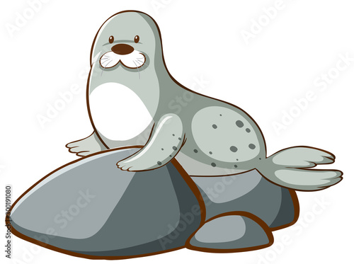 Isolated picture of cute seal