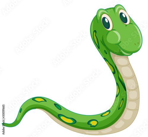 Green snake on white background