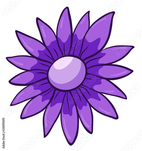 Single flower in purple color
