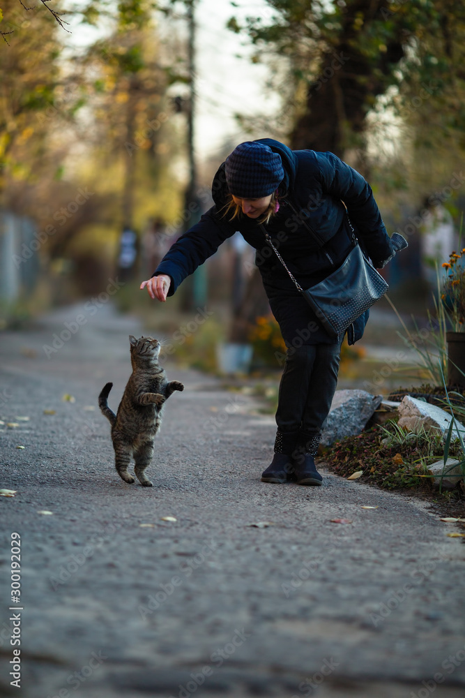 Obraz premium Woman plays with gray cat on the street.