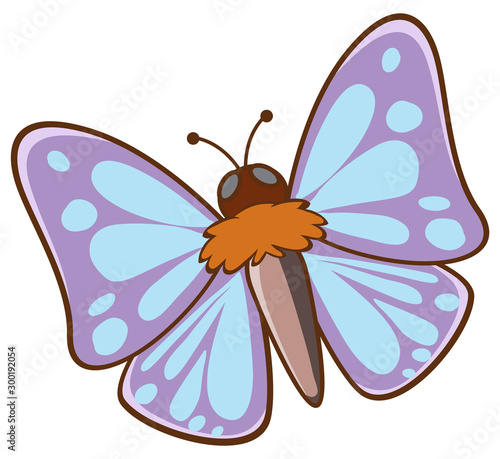 Moth flying on white background