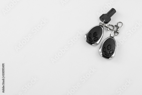 Fotografie key rings with automatic garage door and alarm opening controls, in different ke