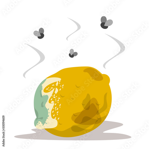 Yellow fruit lemon become rotten and bad. Citrus organic food
