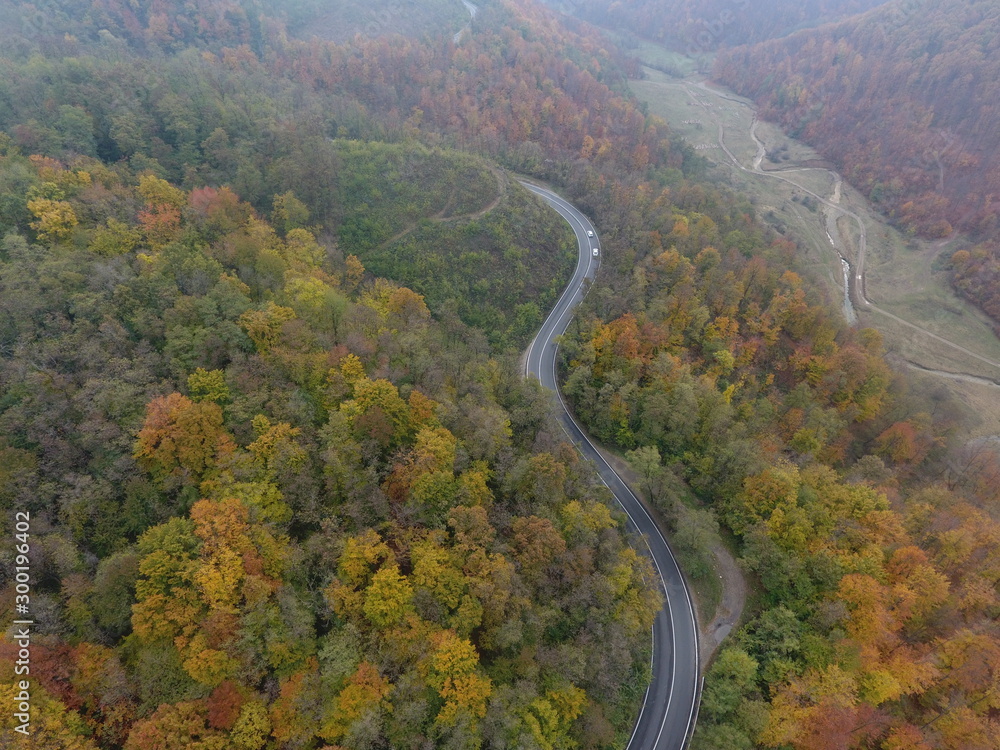 Aerial view of road from forest, autumn season, beautiful colorful landscape