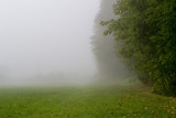  Derevo v tumane letnim utrom 28/5000 Tree in the fog on a summer morning