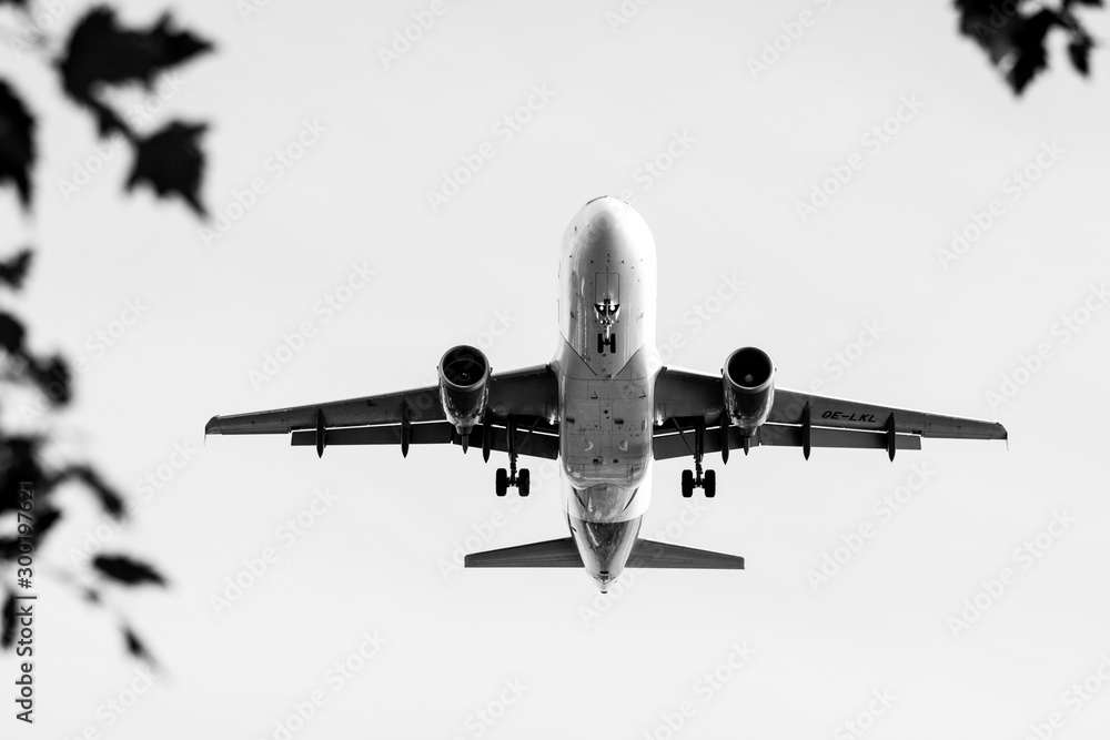 Obraz premium landing in nature