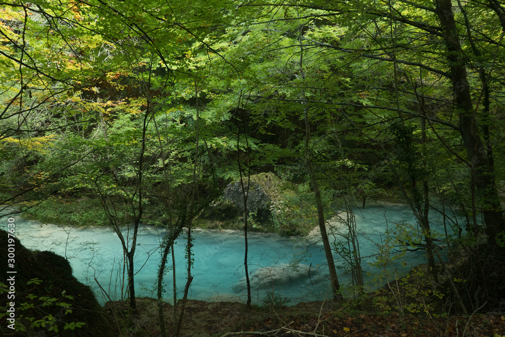Autumn beautiful blue river with green trees