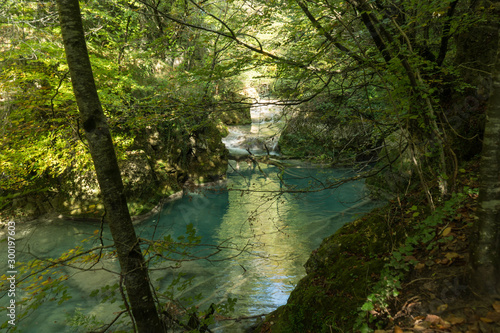 Autumn beautiful blue river with green trees