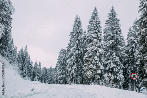 Majestic winter landscape with snowy fir trees.  Winter postcard. © belyaaa