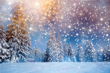 Majestic winter landscape with snowy fir trees.  Winter postcard.