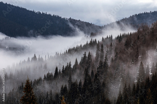 Beautiful rising fog in winter mountain landscape. © belyaaa