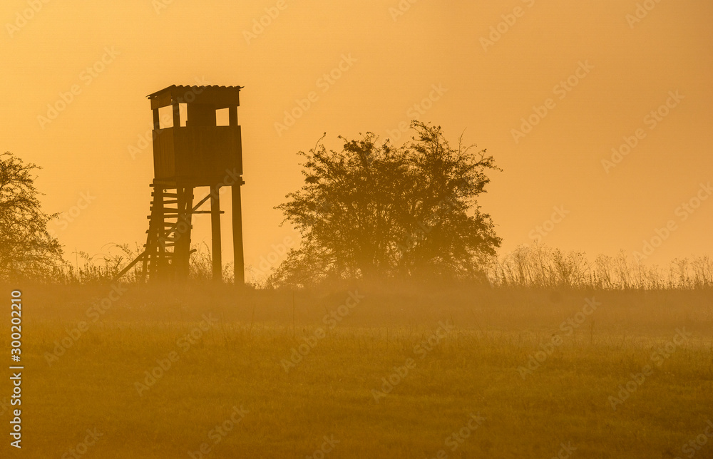 hunting tower during sunrise on a beautiful foggy morning.