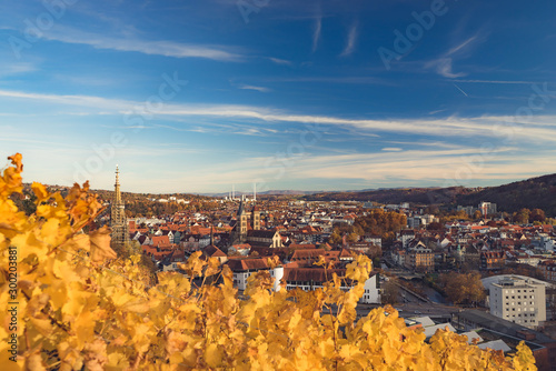 Esslingen am Neckar city panorama autumn leaves of vineyards photo