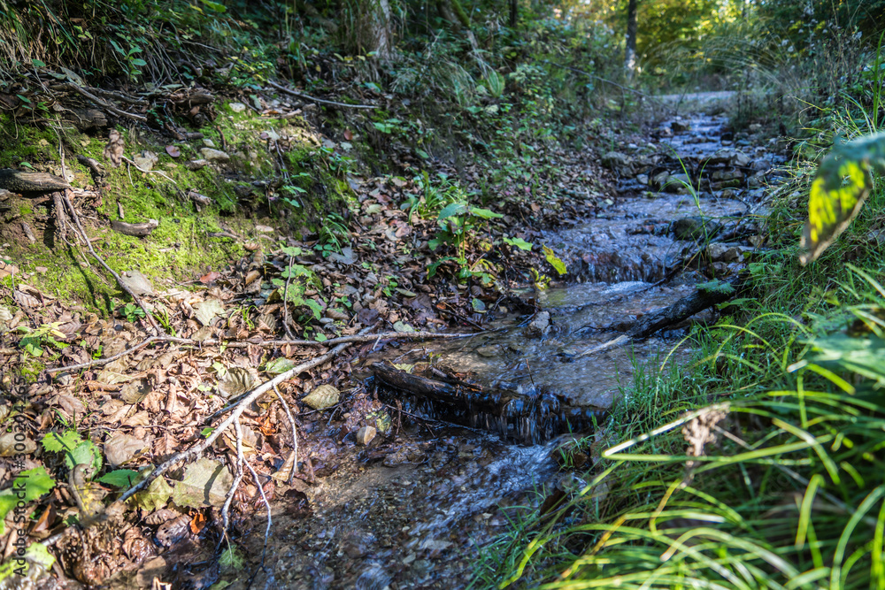 Waldbach Waldbach