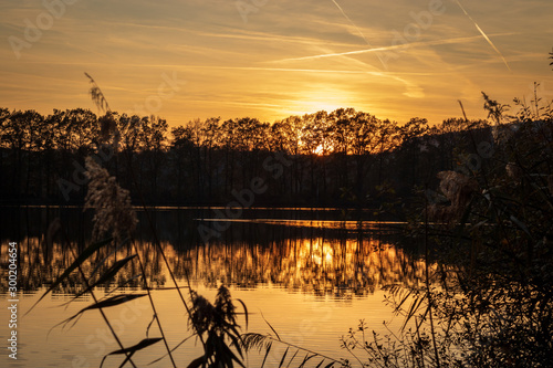 Beautiful sunset over the lake with silhouette of reeds. Calm scenic view of orange reflections on water surface and sun setting on horizon. Beauty in nature concept photo