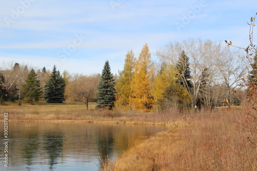Autumn By The Lake, Gold Bar Park, Edmonton, Alberta © Michael Mamoon