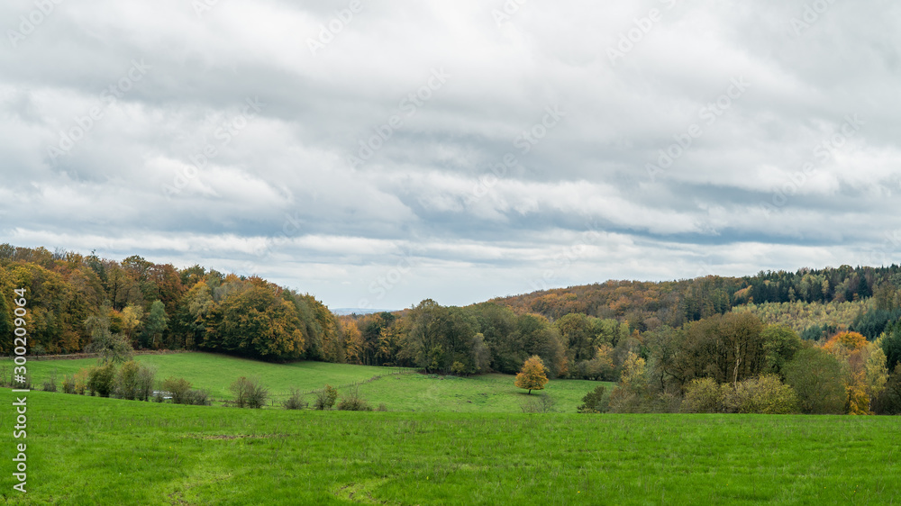 Obraz premium Prairie Forêt Automne