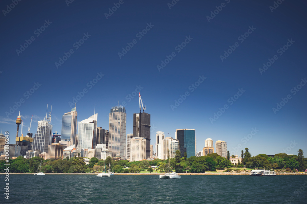 Fototapeta premium Sydney skyline view
