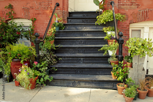 Entry stairs with potted plants
