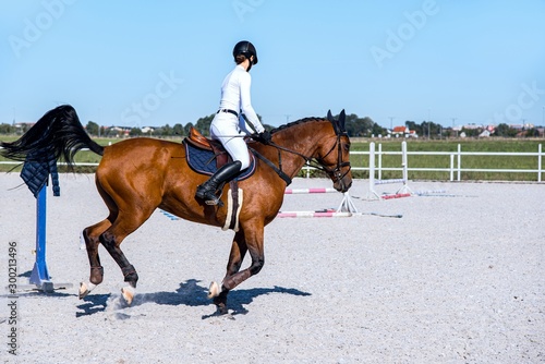 Horse riding . Young girl riding a horse . Equestrian sport in details. Sport horse and rider on gallop
