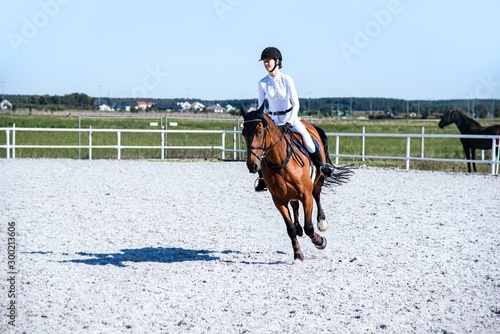 Horse riding . Young girl riding a horse . Equestrian sport in details. Sport horse and rider on gallop