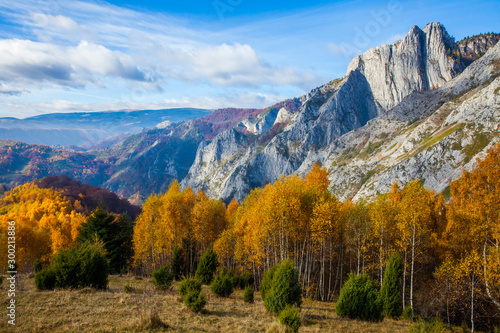 Autumn landscape from Transylvania, Romania