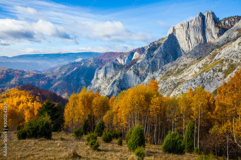 Autumn landscape  from Transylvania, Romania