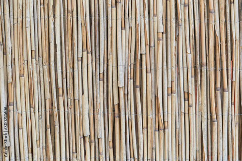 Dry bamboo fence natural background.