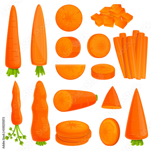 Slika na platnu Carrot icons set