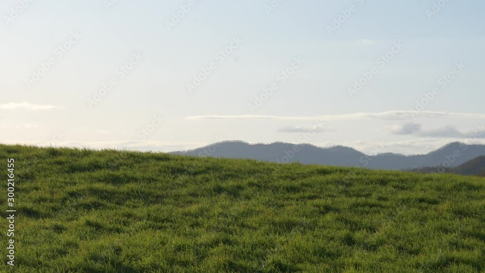 牧草地と山並み 牧草地と山並み
