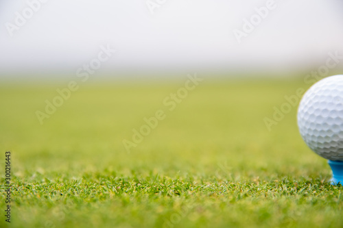 A golf player prepares the ball to be fired at the golf course