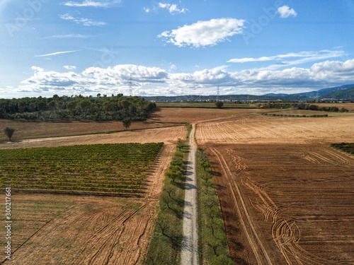 Farmland and agricultural production background in an aerial view from a drone. Agriculture and food production with empty copy space.