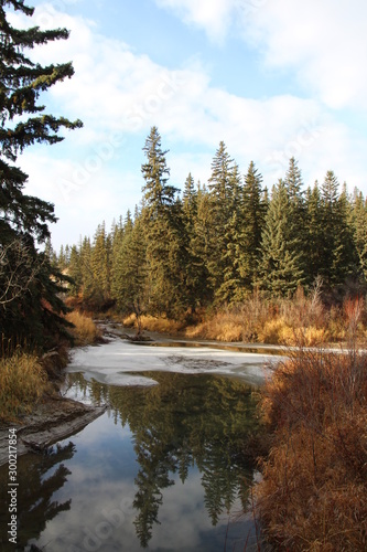 November On The Creek, Whitemud Park, Edmonton, Alberta