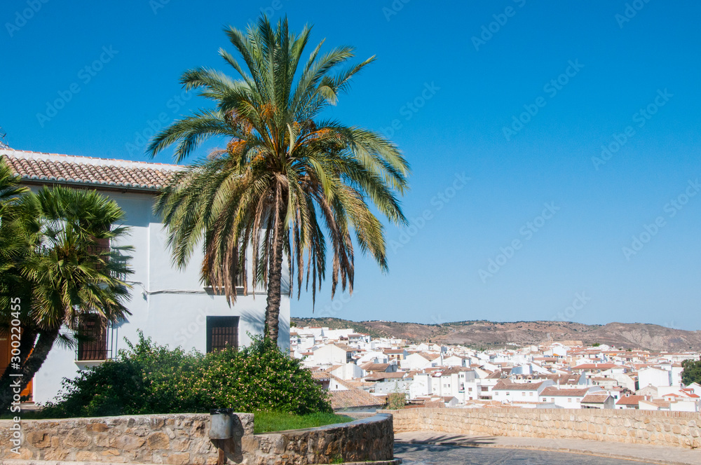 Palm tree and white house on the background of Antequera. White houses of Spanish town.