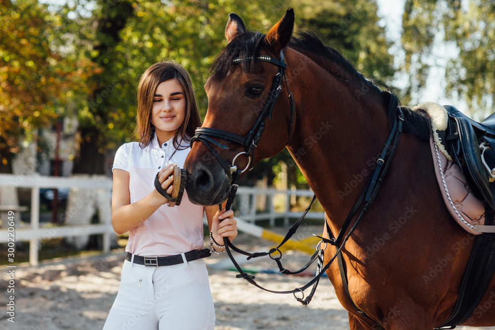 Obraz premium Girl taking care of her horse before horse riding and combining him. Equestrian sport at fresh air.