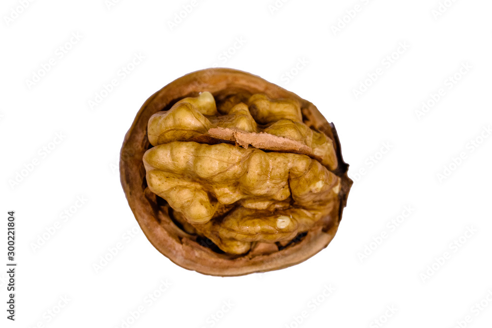 One walnut isolated on the white background One walnut isolated on the white background
