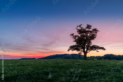 View of an abandoned tree on a hill beyond the horizon of a sunset orange color with a lot of clouds and a change in sky colors on a summer day captured nature on hill photo