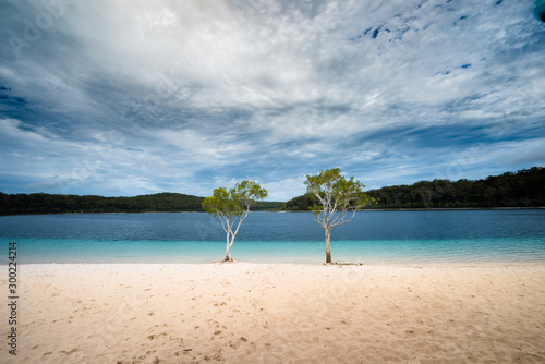 Wallpaper Mural Australia K'gari Fraser Island Lake McKenzie blue water and twin trees with clouds Torontodigital.ca