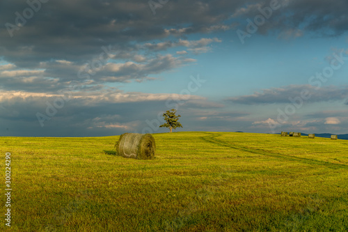 An agricultural machine riding on the horizon below a hill with an abandoned tree during the day with a view of a stack of hay and a view of moving clouds and the nature with a view of countryside.