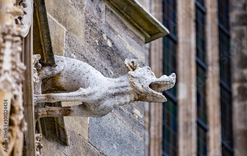 Canvas Print Grotesque gargoyle water spout sculpture on facade of gothic medieval St