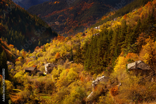 Amazing view of an autumn forest in Rhodopi Mountains, Bulgaria. The small Rhodopean village Varbovo near Shiroka Laka . photo