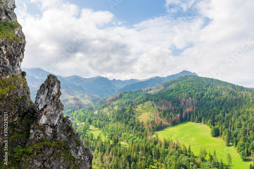 Fototapeta Naklejka Na Ścianę i Meble -  Mountain landscape with a stone cliff and forest. View from Nosal, Tatry, Poland