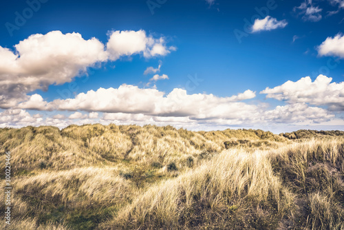 Photography Ireland Dublin beach dune grass landscape with blue sky and clouds