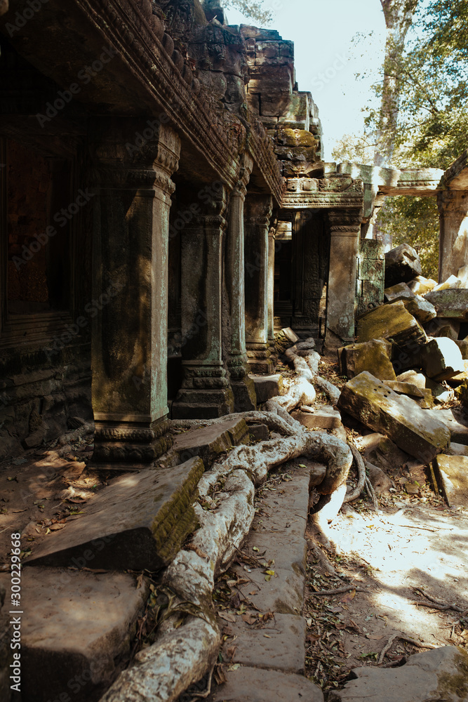 Trees grow through stones in Angkor Wat Temple in Cambodia Trees grow through stones in Angkor Wat Temple in Cambodia